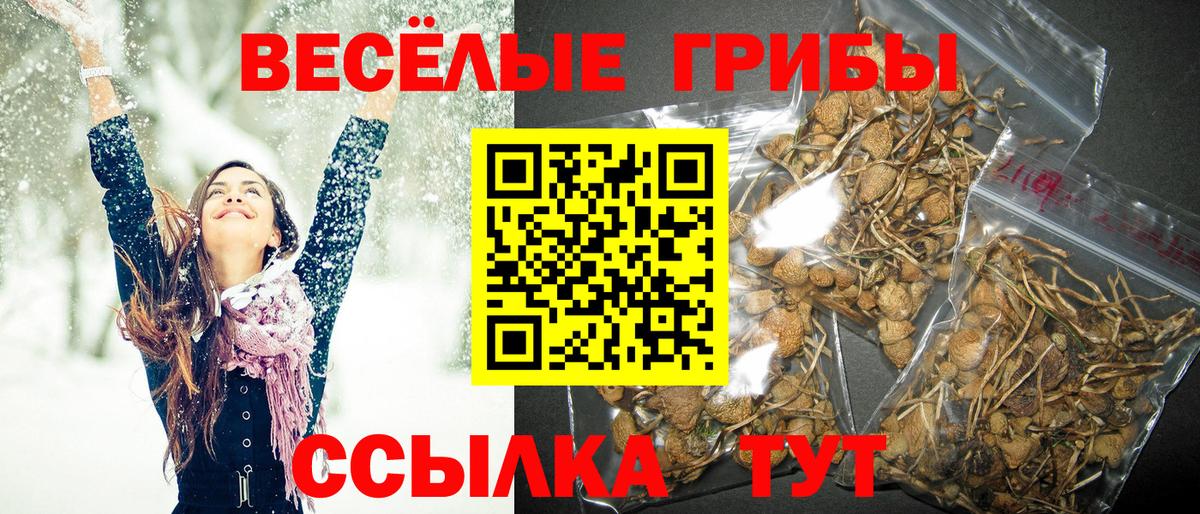 Протвино  Галлюциногенные грибы мицелий  купить   Вход с VPN 